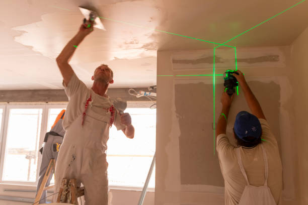 Best Black Mold Removal  in Glasgow Village, MO